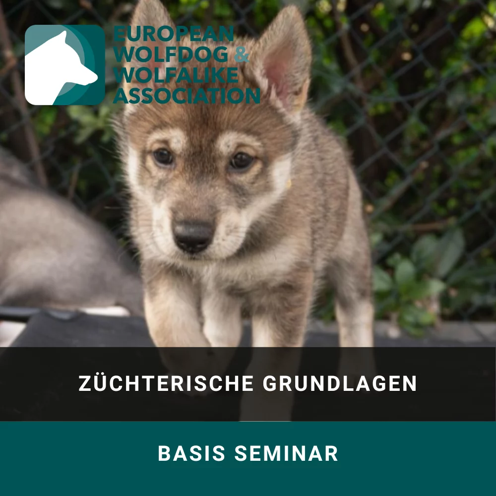 Züchterische Grundlagen Seminar EWA