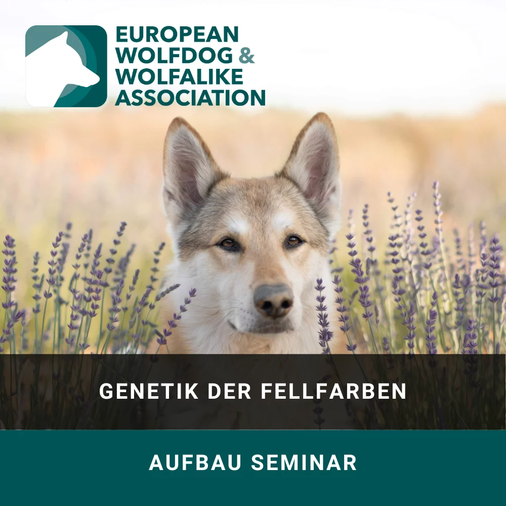 Genetik der Fellfarben Seminar EWA